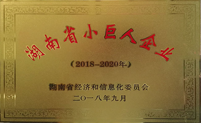 湖南省小巨人企業(yè)